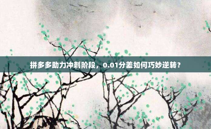 拼多多助力冲刺阶段,0.01分差如何巧妙逆转?-第1张图片-拼多多助力 拼多多助力冲刺阶段,0.01分差如何巧妙逆转?-第1张图片-拼多多助力
