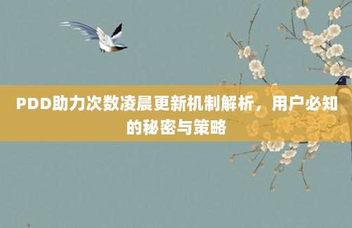 PDD助力次数凌晨更新机制解析,用户必知的秘密与策略-第1张图片-拼多多助力 PDD助力次数凌晨更新机制解析,用户必知的秘密与策略-第1张图片-拼多多助力