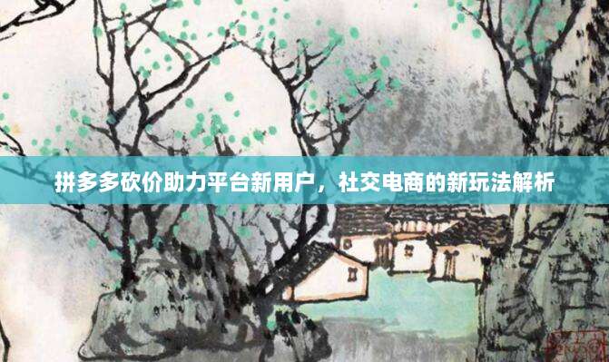 拼多多砍价助力平台新用户,社交电商的新玩法解析-第1张图片-拼多多助力 拼多多砍价助力平台新用户,社交电商的新玩法解析-第1张图片-拼多多助力