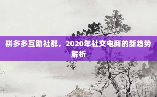 拼多多互助社群,2020年社交电商的新趋势解析-第1张图片-拼多多助力 拼多多互助社群,2020年社交电商的新趋势解析-第1张图片-拼多多助力