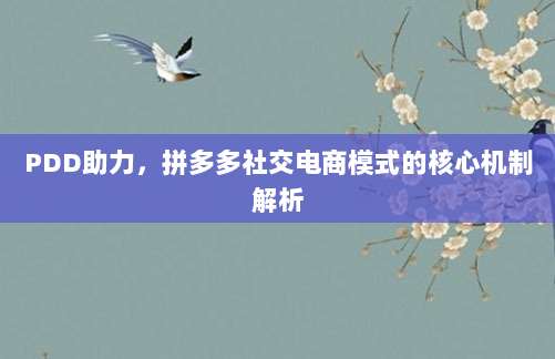 PDD助力,拼多多社交电商模式的核心机制解析-第1张图片-拼多多助力 PDD助力,拼多多社交电商模式的核心机制解析-第1张图片-拼多多助力