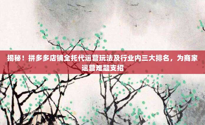 揭秘!拼多多店铺全托代运营玩法及行业内三大排名,为商家运营难题支招-第1张图片-拼多多助力 揭秘!拼多多店铺全托代运营玩法及行业内三大排名,为商家运营难题支招-第1张图片-拼多多助力
