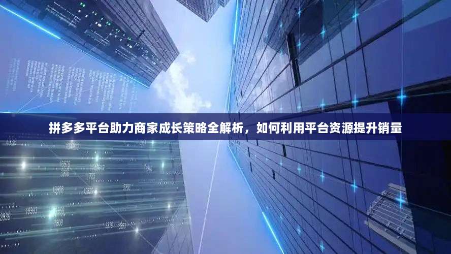 拼多多平台助力商家成长策略全解析，如何利用平台资源提升销量-第1张图片-拼多多助力