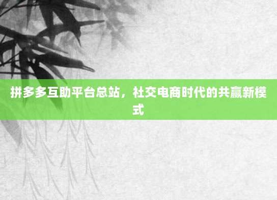 拼多多互助平台总站,社交电商时代的共赢新模式-第1张图片-拼多多助力 拼多多互助平台总站,社交电商时代的共赢新模式-第1张图片-拼多多助力