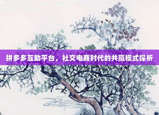 拼多多互助平台,社交电商时代的共赢模式探析-第1张图片-拼多多助力 拼多多互助平台,社交电商时代的共赢模式探析-第1张图片-拼多多助力