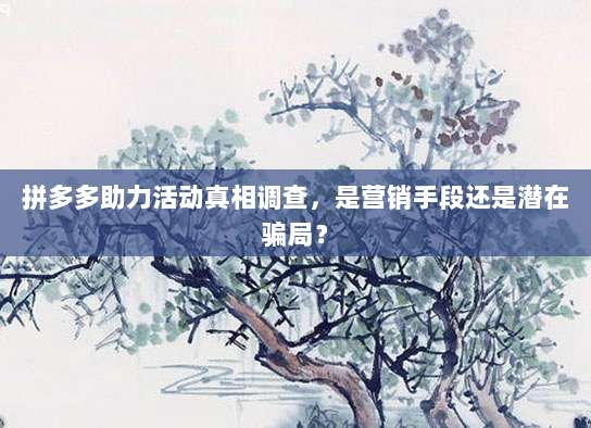 拼多多助力活动真相调查,是营销手段还是潜在骗局?-第1张图片-拼多多助力 拼多多助力活动真相调查,是营销手段还是潜在骗局?-第1张图片-拼多多助力