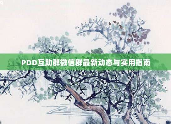 PDD互助群微信群最新动态与实用指南-第1张图片-拼多多助力 PDD互助群微信群最新动态与实用指南-第1张图片-拼多多助力