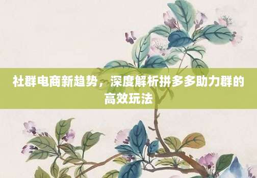 社群电商新趋势,深度解析拼多多助力群的高效玩法-第1张图片-拼多多助力 社群电商新趋势,深度解析拼多多助力群的高效玩法-第1张图片-拼多多助力