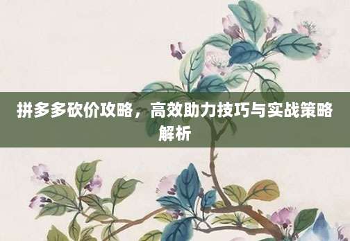 拼多多砍价攻略,高效助力技巧与实战策略解析-第1张图片-拼多多助力 拼多多砍价攻略,高效助力技巧与实战策略解析-第1张图片-拼多多助力