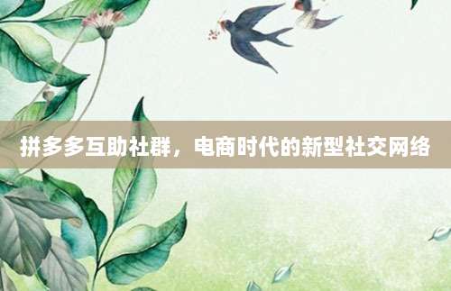 拼多多互助社群,电商时代的新型社交网络-第1张图片-拼多多助力 拼多多互助社群,电商时代的新型社交网络-第1张图片-拼多多助力