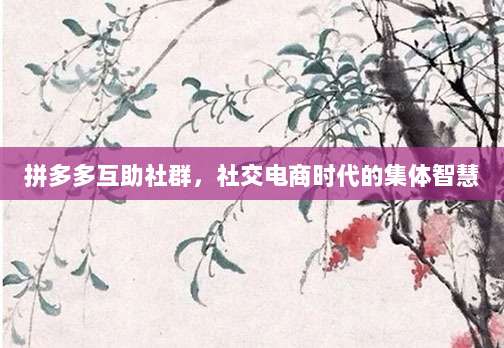 拼多多互助社群,社交电商时代的集体智慧-第1张图片-拼多多助力 拼多多互助社群,社交电商时代的集体智慧-第1张图片-拼多多助力