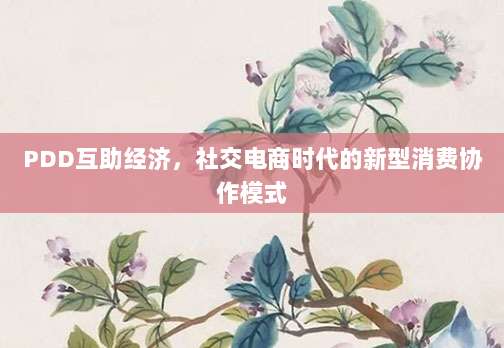 PDD互助经济,社交电商时代的新型消费协作模式-第1张图片-拼多多助力 PDD互助经济,社交电商时代的新型消费协作模式-第1张图片-拼多多助力