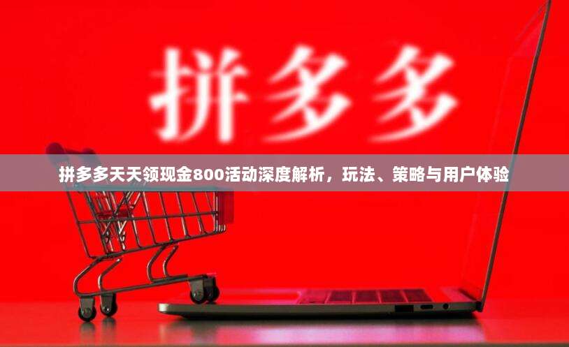 拼多多天天领现金800活动深度解析,玩法、策略与用户体验-第1张图片-拼多多助力 拼多多天天领现金800活动深度解析,玩法、策略与用户体验-第1张图片-拼多多助力