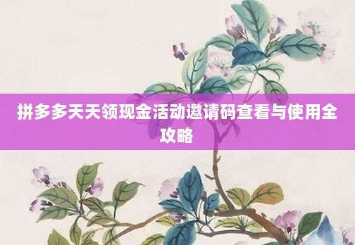拼多多天天领现金活动邀请码查看与使用全攻略-第1张图片-拼多多助力 拼多多天天领现金活动邀请码查看与使用全攻略-第1张图片-拼多多助力