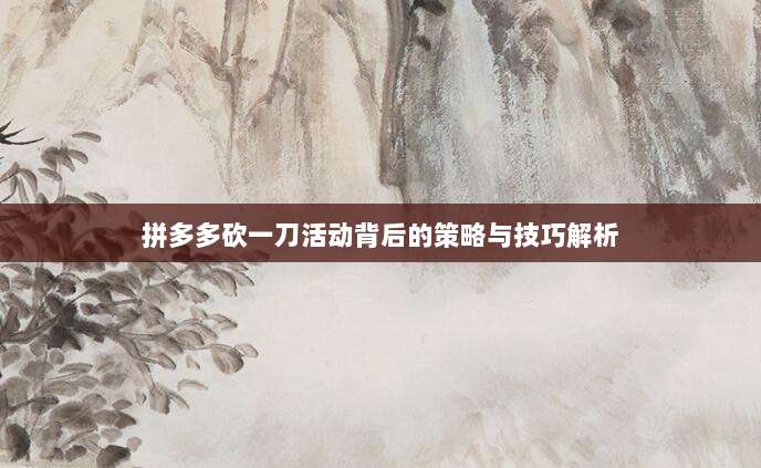 拼多多砍一刀活动背后的策略与技巧解析-第1张图片-拼多多助力 拼多多砍一刀活动背后的策略与技巧解析-第1张图片-拼多多助力