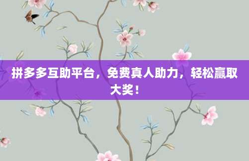 拼多多互助平台,免费真人助力,轻松赢取大奖!-第1张图片-拼多多助力 拼多多互助平台,免费真人助力,轻松赢取大奖!-第1张图片-拼多多助力