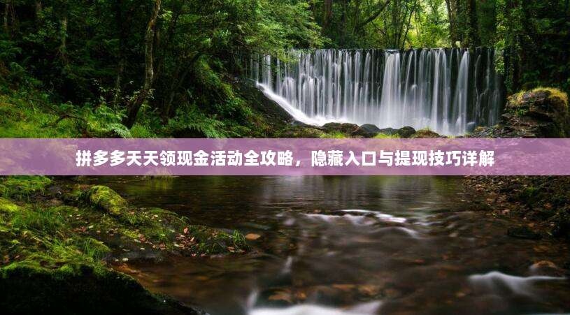 拼多多天天领现金活动全攻略，隐藏入口与提现技巧详解-第1张图片-拼多多助力