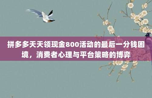 拼多多天天领现金800活动的最后一分钱困境，消费者心理与平台策略的博弈-第1张图片-拼多多助力