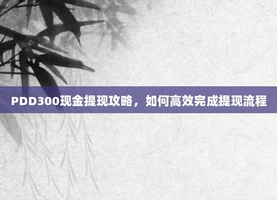 PDD300现金提现攻略，如何高效完成提现流程-第1张图片-拼多多助力