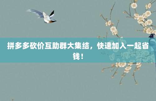 拼多多砍价互助群大集结,快速加入一起省钱!-第1张图片-拼多多助力 拼多多砍价互助群大集结,快速加入一起省钱!-第1张图片-拼多多助力