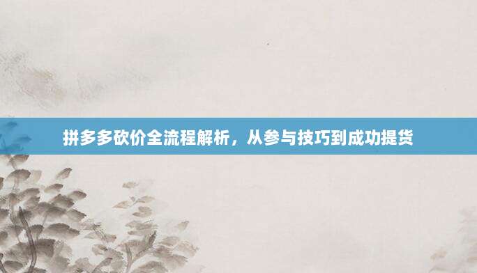 拼多多砍价全流程解析,从参与技巧到成功提货-第1张图片-拼多多助力 拼多多砍价全流程解析,从参与技巧到成功提货-第1张图片-拼多多助力