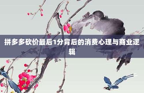 拼多多砍价最后1分背后的消费心理与商业逻辑-第1张图片-拼多多助力