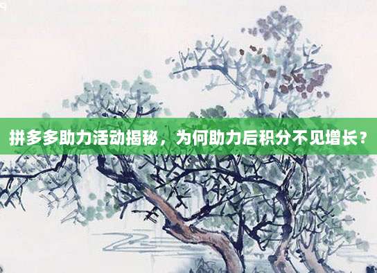 拼多多助力活动揭秘，为何助力后积分不见增长？-第1张图片-拼多多助力