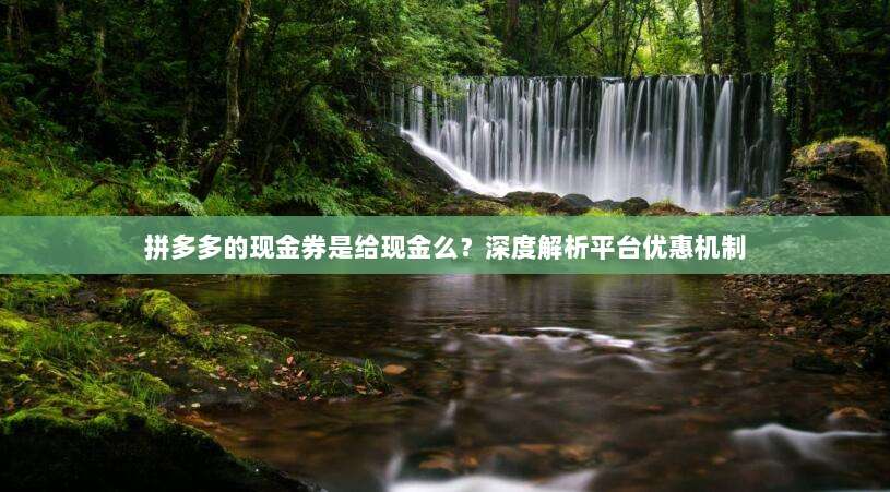 拼多多的现金券是给现金么？深度解析平台优惠机制-第1张图片-拼多多助力