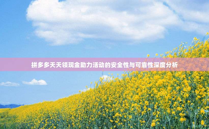 拼多多天天领现金助力活动的安全性与可靠性深度分析-第1张图片-拼多多助力 拼多多天天领现金助力活动的安全性与可靠性深度分析-第1张图片-拼多多助力