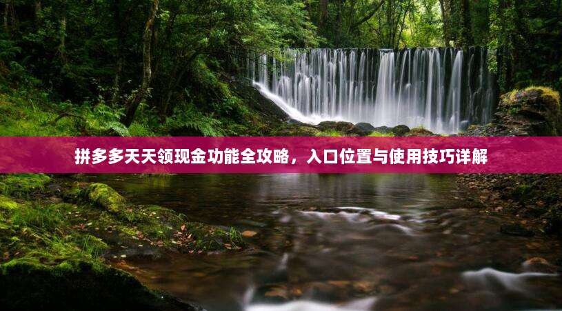 拼多多天天领现金功能全攻略，入口位置与使用技巧详解-第1张图片-拼多多助力