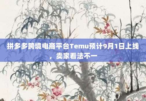 拼多多跨境电商平台Temu预计9月1日上线,卖家看法不一-第1张图片-拼多多助力 拼多多跨境电商平台Temu预计9月1日上线,卖家看法不一-第1张图片-拼多多助力
