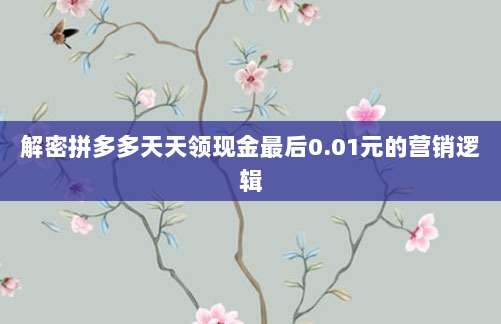 解密拼多多天天领现金最后0.01元的营销逻辑-第1张图片-拼多多助力 解密拼多多天天领现金最后0.01元的营销逻辑-第1张图片-拼多多助力