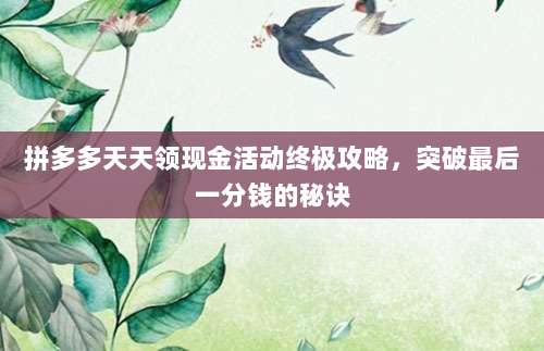 拼多多天天领现金活动终极攻略,突破最后一分钱的秘诀-第1张图片-拼多多助力 拼多多天天领现金活动终极攻略,突破最后一分钱的秘诀-第1张图片-拼多多助力