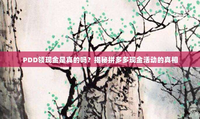 PDD领现金是真的吗？揭秘拼多多现金活动的真相-第1张图片-拼多多助力