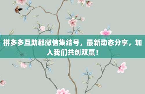 拼多多互助群微信集结号，最新动态分享，加入我们共创双赢！-第1张图片-拼多多助力