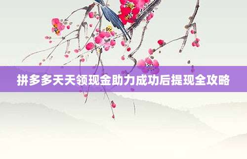 拼多多天天领现金助力成功后提现全攻略-第1张图片-拼多多助力
