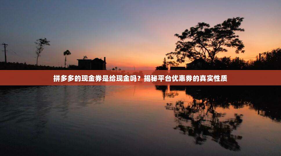 拼多多的现金券是给现金吗?揭秘平台优惠券的真实性质-第1张图片-拼多多助力 拼多多的现金券是给现金吗?揭秘平台优惠券的真实性质-第1张图片-拼多多助力