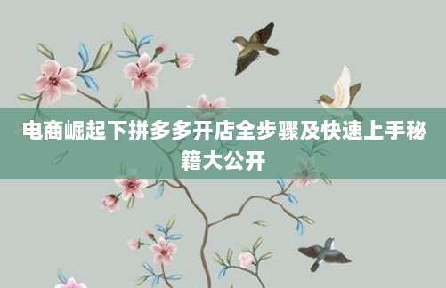 电商崛起下拼多多开店全步骤及快速上手秘籍大公开-第1张图片-拼多多助力 电商崛起下拼多多开店全步骤及快速上手秘籍大公开-第1张图片-拼多多助力