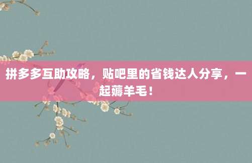 拼多多互助攻略,贴吧里的省钱达人分享,一起薅羊毛!-第1张图片-拼多多助力 拼多多互助攻略,贴吧里的省钱达人分享,一起薅羊毛!-第1张图片-拼多多助力