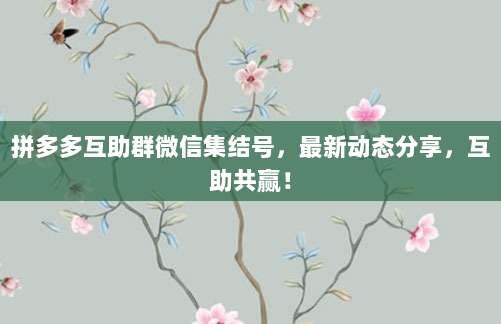 拼多多互助群微信集结号，最新动态分享，互助共赢！-第1张图片-拼多多助力