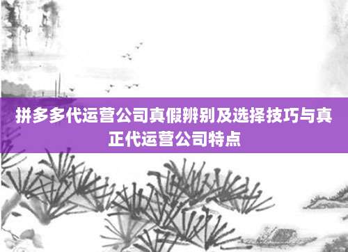 拼多多代运营公司真假辨别及选择技巧与真正代运营公司特点-第1张图片-拼多多助力 拼多多代运营公司真假辨别及选择技巧与真正代运营公司特点-第1张图片-拼多多助力