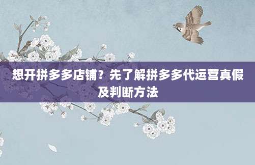 想开拼多多店铺?先了解拼多多代运营真假及判断方法-第1张图片-拼多多助力 想开拼多多店铺?先了解拼多多代运营真假及判断方法-第1张图片-拼多多助力