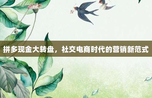 拼多现金大转盘,社交电商时代的营销新范式-第1张图片-拼多多助力 拼多现金大转盘,社交电商时代的营销新范式-第1张图片-拼多多助力