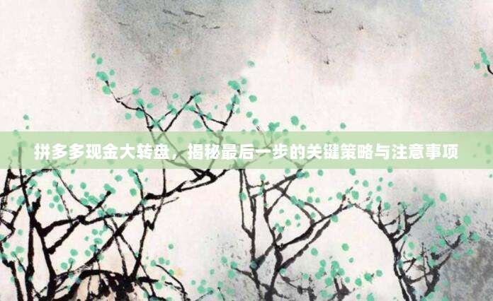 拼多多现金大转盘,揭秘最后一步的关键策略与注意事项-第1张图片-拼多多助力 拼多多现金大转盘,揭秘最后一步的关键策略与注意事项-第1张图片-拼多多助力