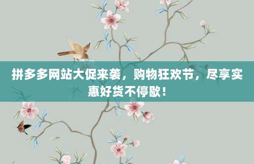 拼多多网站大促来袭,购物狂欢节,尽享实惠好货不停歇!-第1张图片-拼多多助力 拼多多网站大促来袭,购物狂欢节,尽享实惠好货不停歇!-第1张图片-拼多多助力