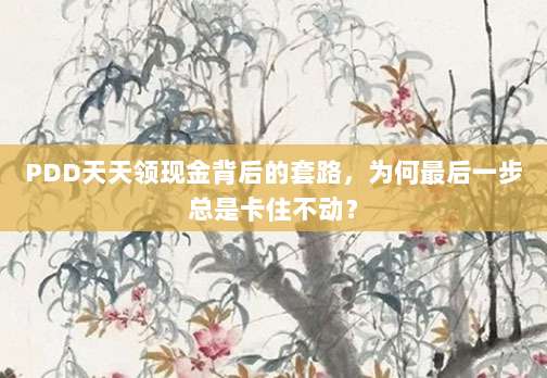 PDD天天领现金背后的套路,为何最后一步总是卡住不动?-第1张图片-拼多多助力 PDD天天领现金背后的套路,为何最后一步总是卡住不动?-第1张图片-拼多多助力