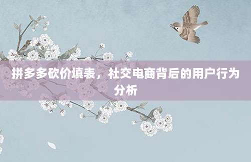 拼多多砍价填表,社交电商背后的用户行为分析-第1张图片-拼多多助力 拼多多砍价填表,社交电商背后的用户行为分析-第1张图片-拼多多助力