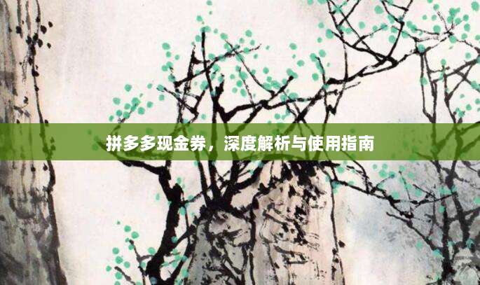 拼多多现金券，深度解析与使用指南-第1张图片-拼多多助力