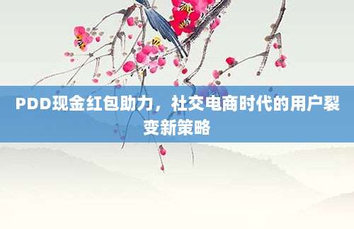 PDD现金红包助力,社交电商时代的用户裂变新策略-第1张图片-拼多多助力 PDD现金红包助力,社交电商时代的用户裂变新策略-第1张图片-拼多多助力