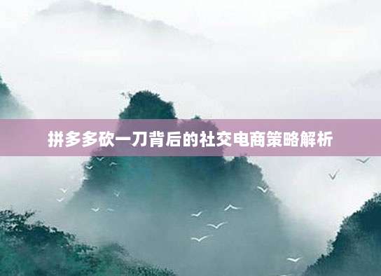 拼多多砍一刀背后的社交电商策略解析-第1张图片-拼多多助力 拼多多砍一刀背后的社交电商策略解析-第1张图片-拼多多助力